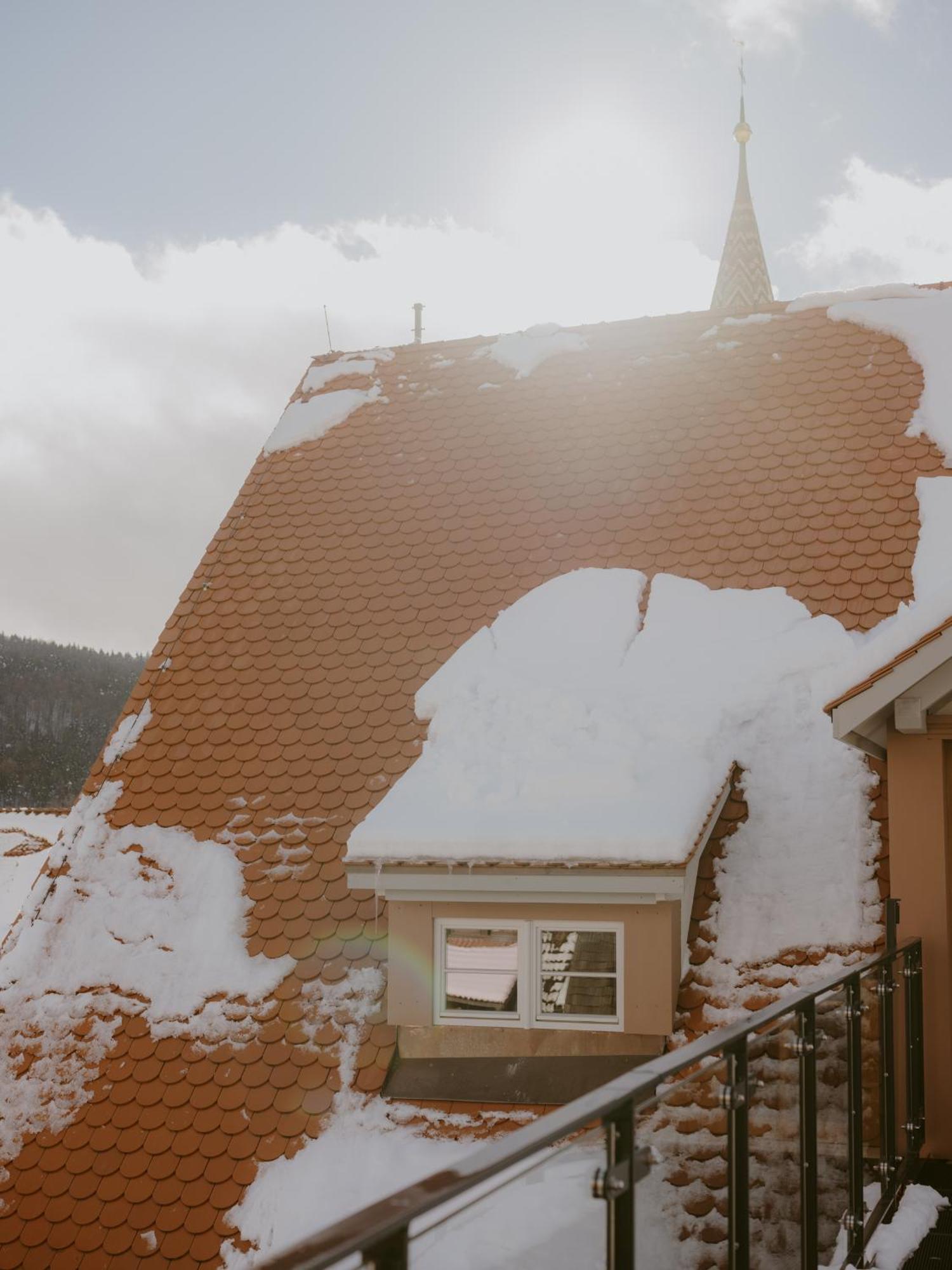 1280 Krone Geisingen Zewnętrze zdjęcie
